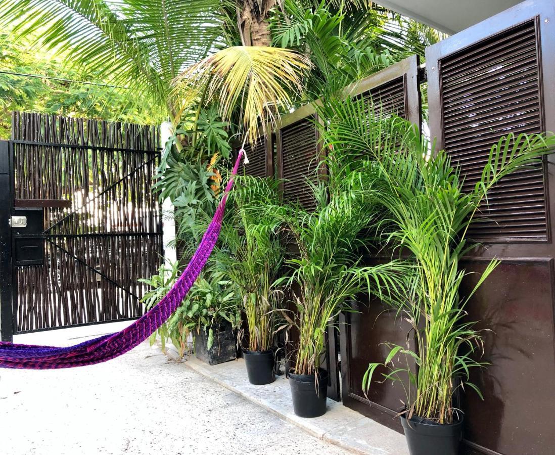 Casa Tropical Hotel Cancun Exterior photo
